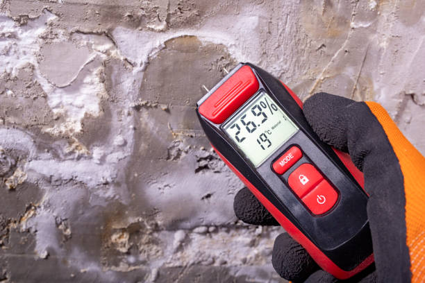 Best Emergency Mold Remediation in Hazel Park, MI