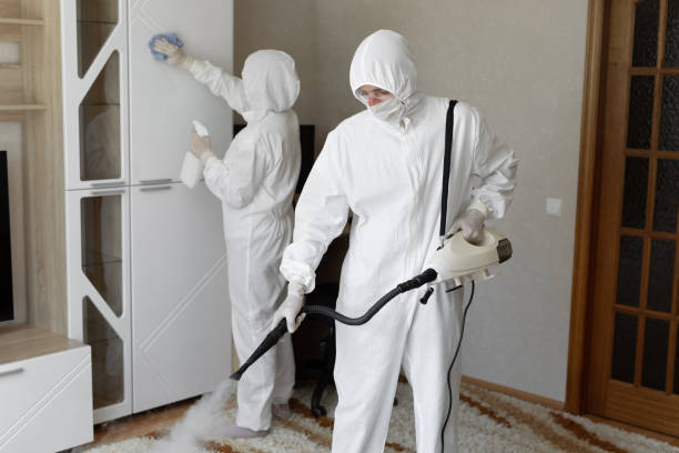 Best Mold Testing and Inspection Services in Hazel Park, MI