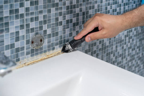 Best DIY Mold Remediation Support Services in Hazel Park, MI