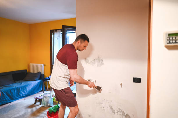 Best Commercial Mold Remediation in Hazel Park, MI